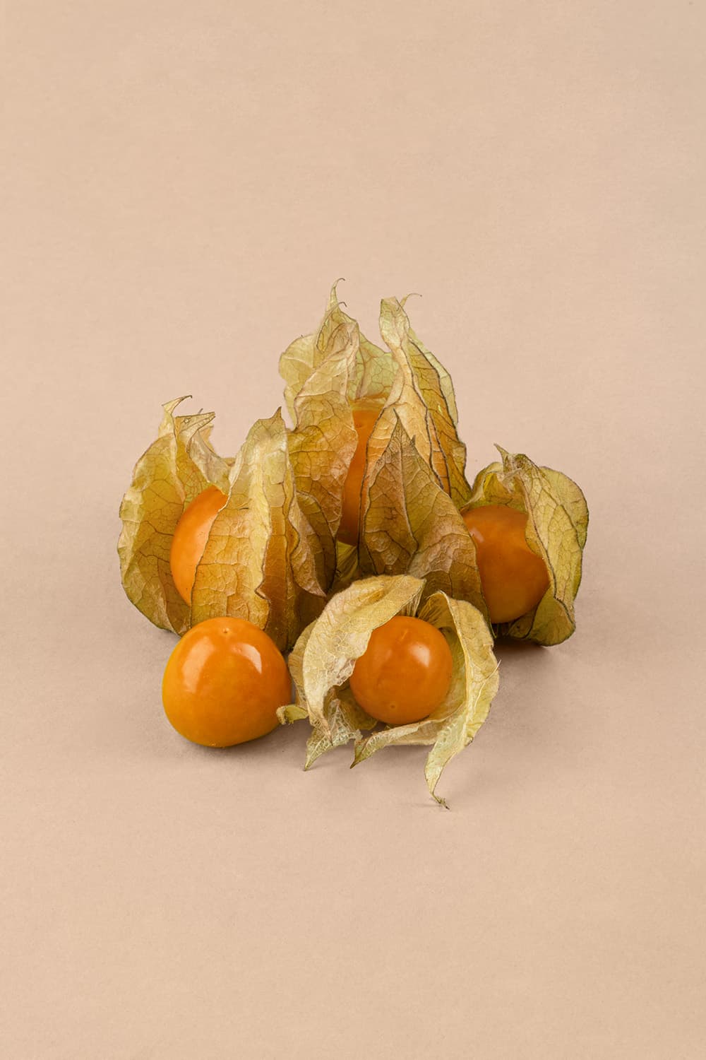 Physalis Miechunka