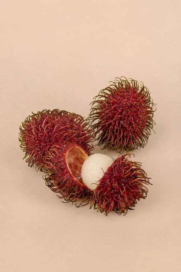 Rambutan